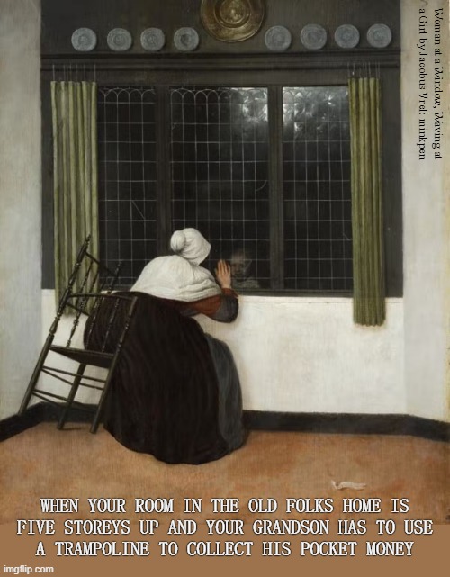 Children Don't Bounce | Woman at a Window, Waving at
a Girl by Jacobus Vrel: minkpen; WHEN YOUR ROOM IN THE OLD FOLKS HOME IS
FIVE STOREYS UP AND YOUR GRANDSON HAS TO USE
A TRAMPOLINE TO COLLECT HIS POCKET MONEY | image tagged in art memes,dutch golden age,grandmother,children,retirement,old age | made w/ Imgflip meme maker