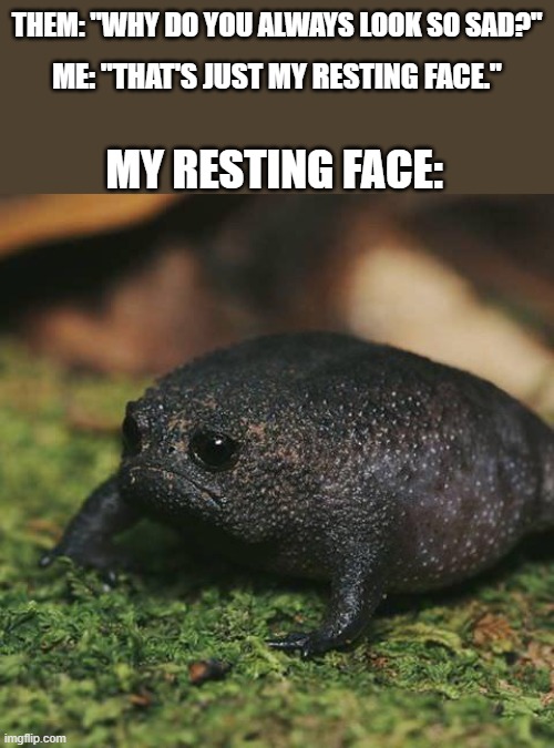 Sad Toad | THEM: "WHY DO YOU ALWAYS LOOK SO SAD?"; ME: "THAT'S JUST MY RESTING FACE."; MY RESTING FACE: | image tagged in sad toad | made w/ Imgflip meme maker
