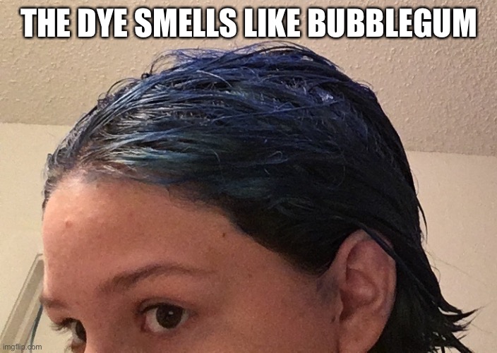 THE DYE SMELLS LIKE BUBBLEGUM | made w/ Imgflip meme maker