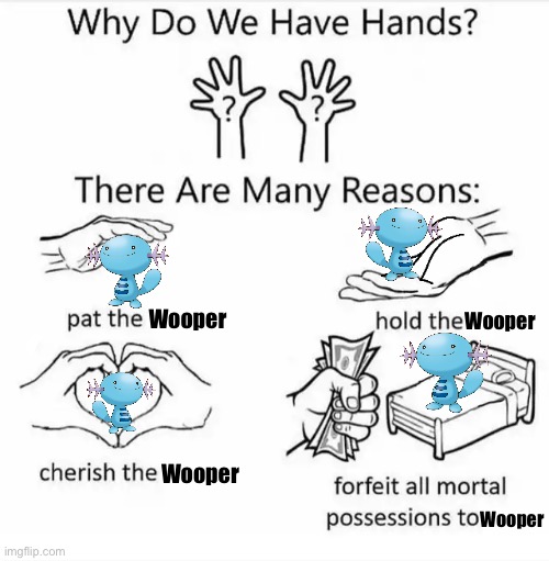 Wooper is the best boi |  Wooper; Wooper; Wooper; Wooper | image tagged in why do we have hands | made w/ Imgflip meme maker
