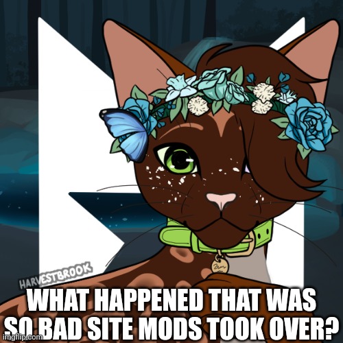 Dawnstar | WHAT HAPPENED THAT WAS SO BAD SITE MODS TOOK OVER? | image tagged in dawnstar | made w/ Imgflip meme maker