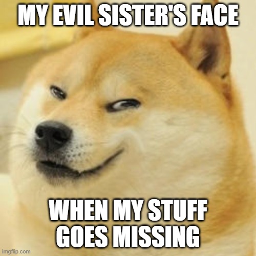 evil doge | MY EVIL SISTER'S FACE; WHEN MY STUFF GOES MISSING | image tagged in evil doge | made w/ Imgflip meme maker