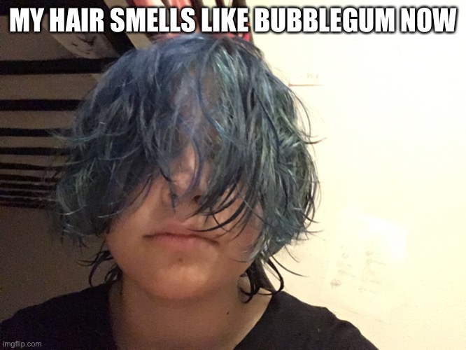 MY HAIR SMELLS LIKE BUBBLEGUM NOW | made w/ Imgflip meme maker