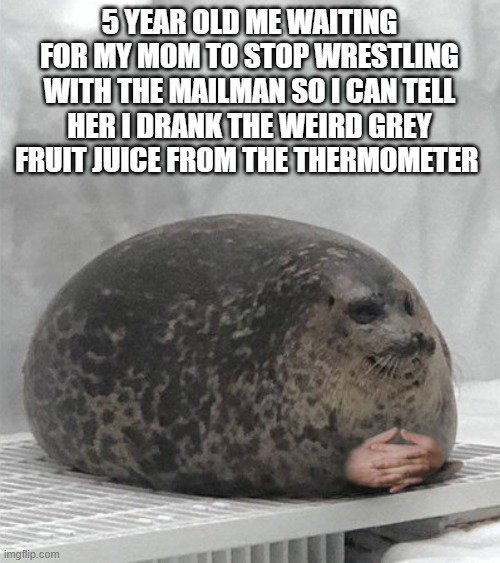 lemme know if you get it | 5 YEAR OLD ME WAITING FOR MY MOM TO STOP WRESTLING WITH THE MAILMAN SO I CAN TELL HER I DRANK THE WEIRD GREY FRUIT JUICE FROM THE THERMOMETER | image tagged in seal waiting | made w/ Imgflip meme maker