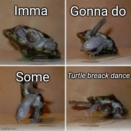 Turtle breack dance | Imma; Gonna do; Turtle breack dance; Some | image tagged in turtle breack dance | made w/ Imgflip meme maker