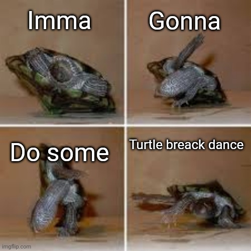 Turtle breack dance | Imma; Gonna; Turtle breack dance; Do some | image tagged in turtle breack dance | made w/ Imgflip meme maker