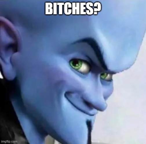 Bitches? | BITCHES? | image tagged in no bitches,memes,funny,fun,megamind | made w/ Imgflip meme maker