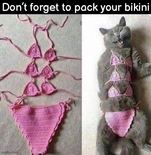 Don’t forget to pack your bikini | made w/ Imgflip meme maker