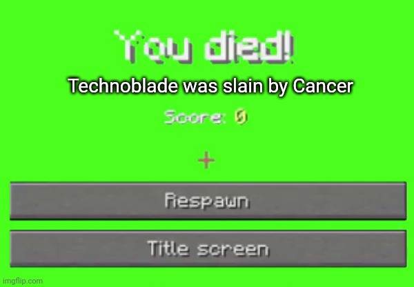 you died! | Technoblade was slain by Cancer | image tagged in you died | made w/ Imgflip meme maker