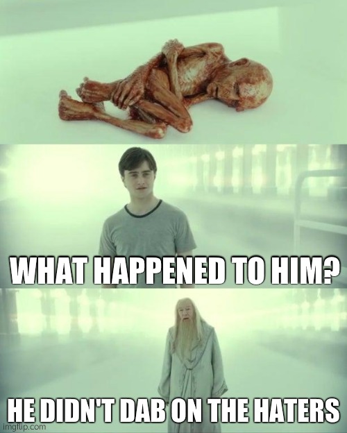 Dead Baby Voldemort / What Happened To Him | WHAT HAPPENED TO HIM? HE DIDN'T DAB ON THE HATERS | image tagged in dead baby voldemort / what happened to him | made w/ Imgflip meme maker