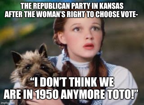 What is Going On | THE REPUBLICAN PARTY IN KANSAS AFTER THE WOMAN’S RIGHT TO CHOOSE VOTE-; “I DON’T THINK WE ARE IN 1950 ANYMORE TOTO!” | image tagged in what is going on | made w/ Imgflip meme maker
