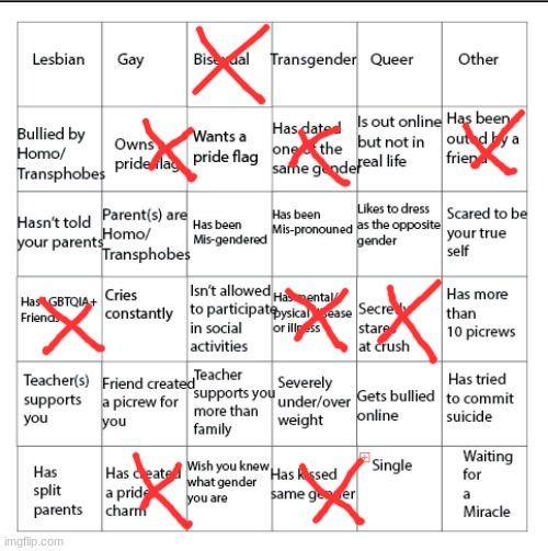 meme4 | image tagged in lgbtqia bingo | made w/ Imgflip meme maker