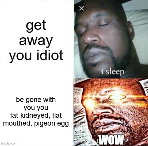 Sleeping Shaq Meme | get away you idiot; be gone with you you fat-kidneyed, flat mouthed, pigeon egg; WOW | image tagged in memes,sleeping shaq | made w/ Imgflip meme maker