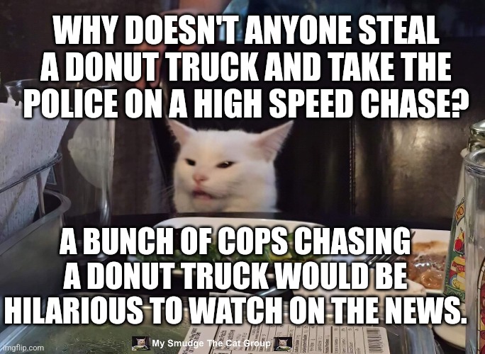 WHY DOESN'T ANYONE STEAL A DONUT TRUCK AND TAKE THE POLICE ON A HIGH SPEED CHASE? A BUNCH OF COPS CHASING A DONUT TRUCK WOULD BE HILARIOUS TO WATCH ON THE NEWS. | image tagged in smudge the cat | made w/ Imgflip meme maker