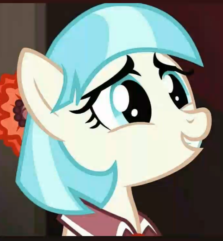 Coco pommel Blank Meme Template