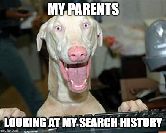 Leaving your computer open | MY PARENTS; LOOKING AT MY SEARCH HISTORY | image tagged in computer dog | made w/ Imgflip meme maker