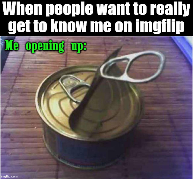 When people want to really get to know me on imgflip; Me opening up: | image tagged in who_am_i | made w/ Imgflip meme maker