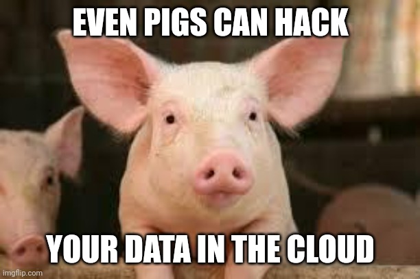 Your data with cloud services | EVEN PIGS CAN HACK; YOUR DATA IN THE CLOUD | image tagged in pig | made w/ Imgflip meme maker