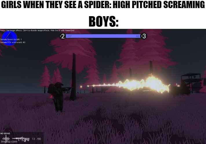 yes, i will use an old meme format | GIRLS WHEN THEY SEE A SPIDER: HIGH PITCHED SCREAMING; BOYS: | made w/ Imgflip meme maker