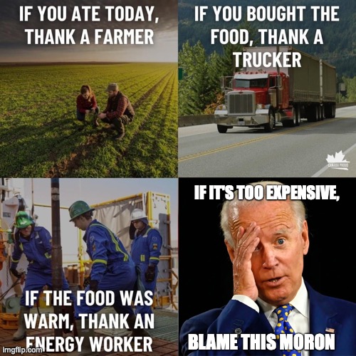  IF IT'S TOO EXPENSIVE, BLAME THIS MORON | image tagged in economy,inflation,joe biden | made w/ Imgflip meme maker