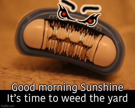 Good morning Sunshine
It’s time to weed the yard | made w/ Imgflip meme maker