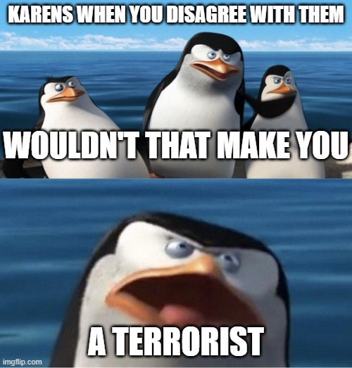 Wouldn't that make you | KARENS WHEN YOU DISAGREE WITH THEM; WOULDN'T THAT MAKE YOU; A TERRORIST | image tagged in wouldn't that make you | made w/ Imgflip meme maker