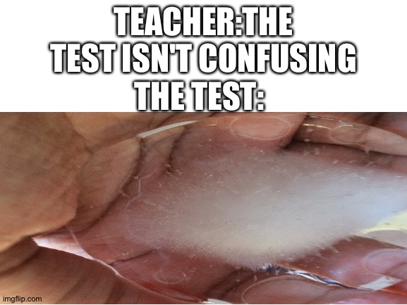 There you go | TEACHER:THE TEST ISN'T CONFUSING; THE TEST: | image tagged in confusing,ice,test,exam | made w/ Imgflip meme maker