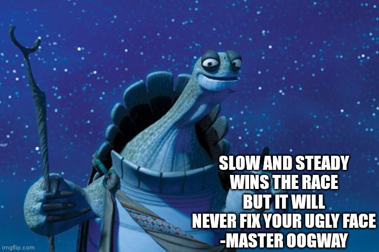 Very wise words | SLOW AND STEADY WINS THE RACE BUT IT WILL NEVER FIX YOUR UGLY FACE
-MASTER OOGWAY | image tagged in master oogway,wise,memes | made w/ Imgflip meme maker
