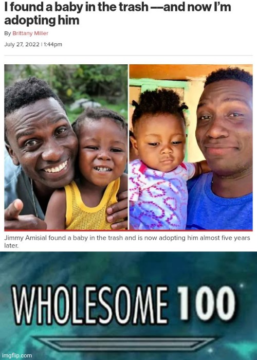 Adoption | image tagged in wholesome 100,baby,trash,memes,adoption,news | made w/ Imgflip meme maker