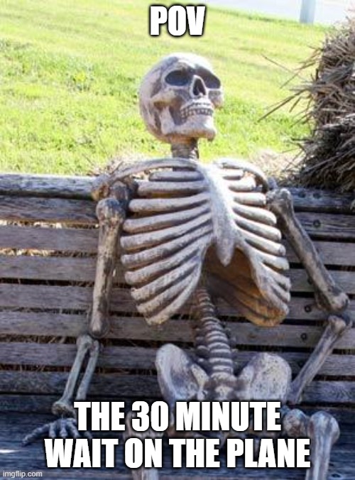 Just take off! | POV; THE 30 MINUTE WAIT ON THE PLANE | image tagged in memes,waiting skeleton | made w/ Imgflip meme maker