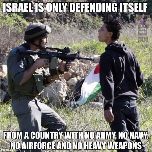 Because Simple Facts Don't Hurt | image tagged in israel,palestine,army,navy,air force,victim | made w/ Imgflip meme maker