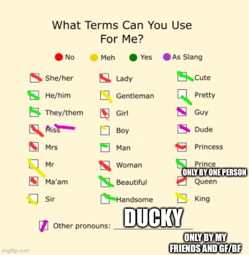 Pronouns Sheet | ONLY BY ONE PERSON; DUCKY; ONLY BY MY FRIENDS AND GF/BF | image tagged in pronouns sheet | made w/ Imgflip meme maker