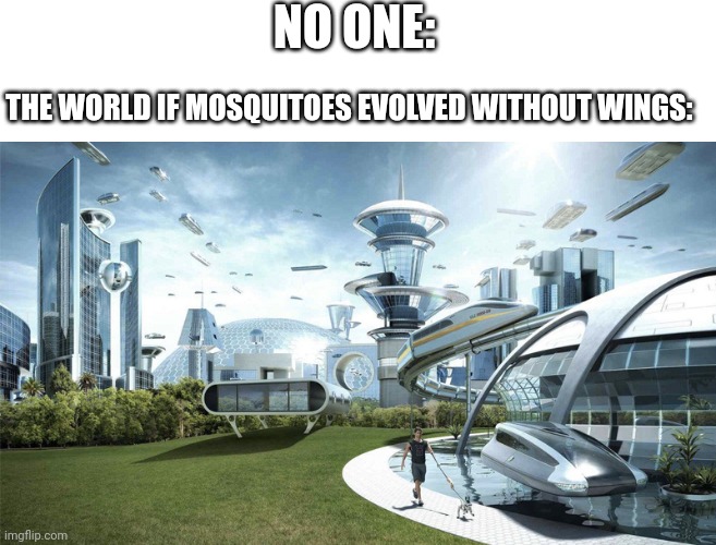 Title of all titles | NO ONE:; THE WORLD IF MOSQUITOES EVOLVED WITHOUT WINGS: | image tagged in the future world if,mosquito,mosquitoes,evolution,raydog for president | made w/ Imgflip meme maker