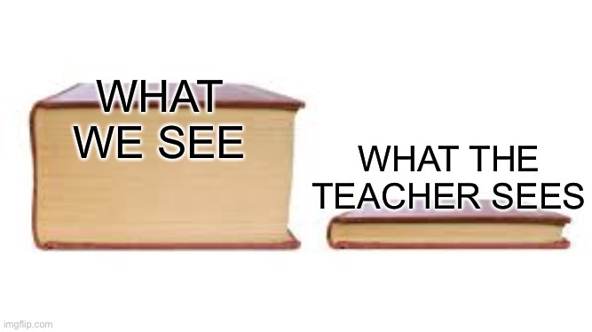 broo i can’t believe lucidream himself messaged me ???????????? | WHAT WE SEE; WHAT THE TEACHER SEES | image tagged in big book small book | made w/ Imgflip meme maker