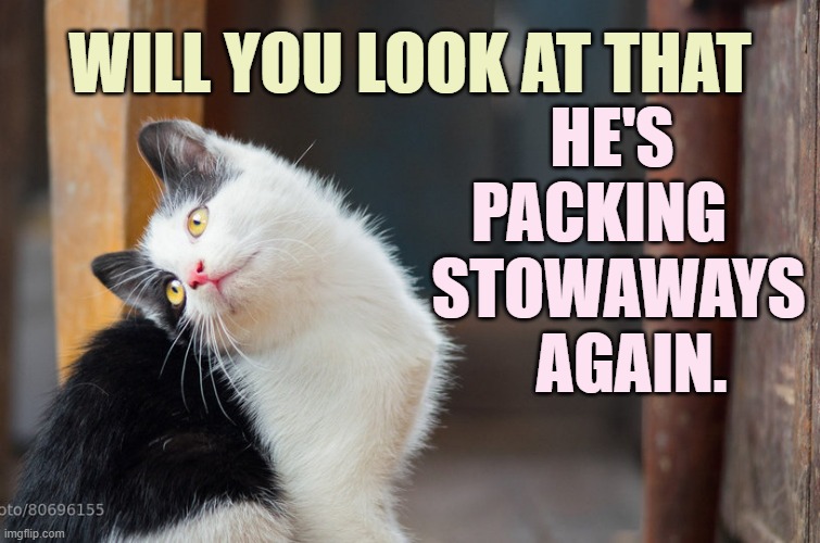 WILL YOU LOOK AT THAT HE'S PACKING    STOWAWAYS    AGAIN. | made w/ Imgflip meme maker
