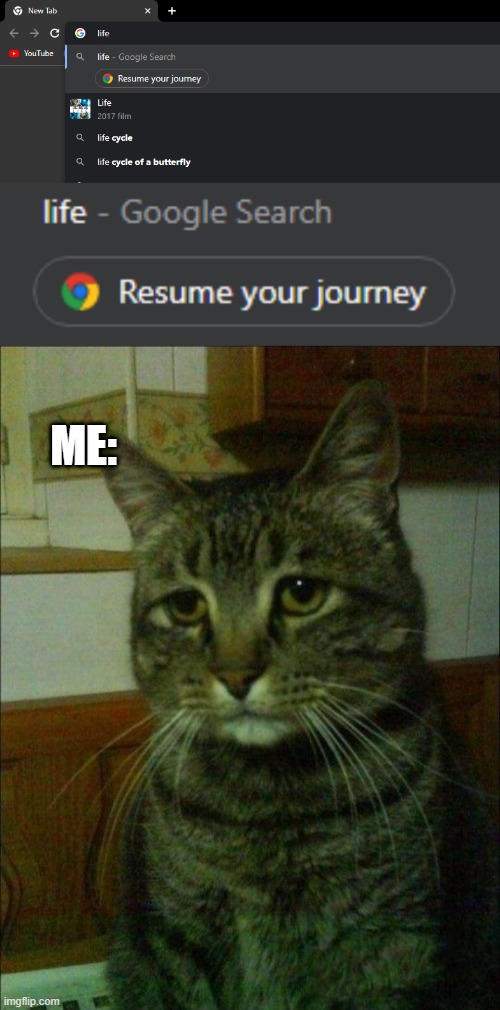 bruh | ME: | image tagged in memes,depressed cat | made w/ Imgflip meme maker