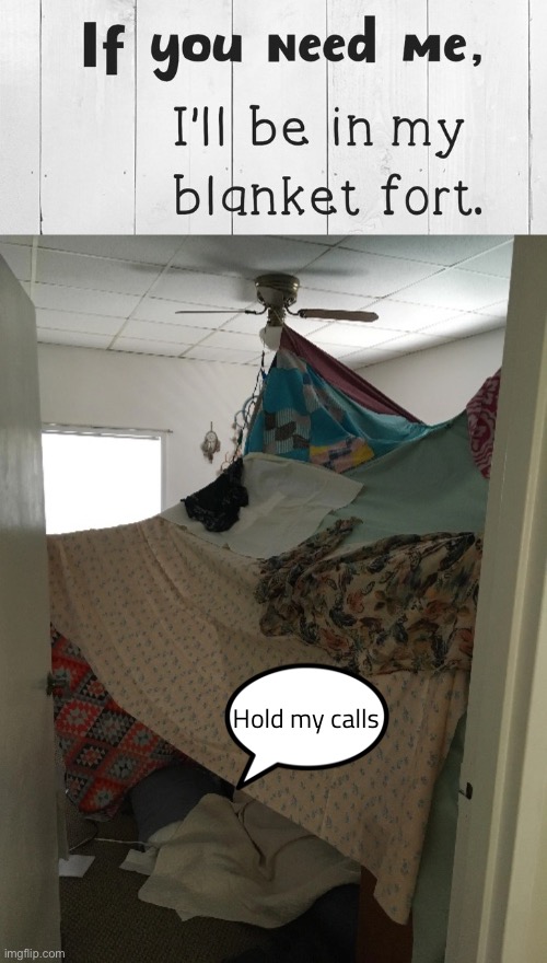 Hold my calls | image tagged in funny memes,blanket forts,hiding from reality | made w/ Imgflip meme maker