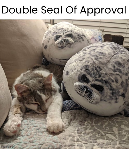 image tagged in funny memes,funny cat memes,seal of approval | made w/ Imgflip meme maker