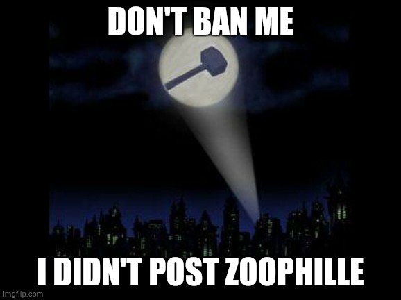 Ban hammer | DON'T BAN ME; I DIDN'T POST ZOOPHILLE | image tagged in ban hammer | made w/ Imgflip meme maker
