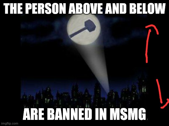 Ban hammer | THE PERSON ABOVE AND BELOW; ARE BANNED IN MSMG | image tagged in ban hammer | made w/ Imgflip meme maker