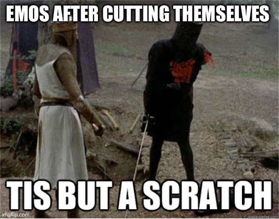 tis but a scratch | EMOS AFTER CUTTING THEMSELVES | image tagged in tis but a scratch | made w/ Imgflip meme maker