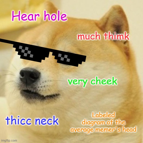 Labeled Diagram of the Average Memer's Head | Hear hole; much thimk; very cheek; Labeled diagram of the average memer's head; thicc neck | image tagged in memes,doge | made w/ Imgflip meme maker