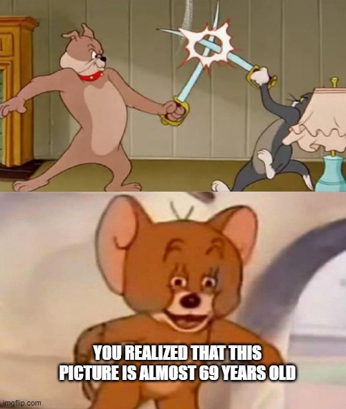 "Interesting coincidence" | YOU REALIZED THAT THIS PICTURE IS ALMOST 69 YEARS OLD | image tagged in tom and jerry swordfight | made w/ Imgflip meme maker