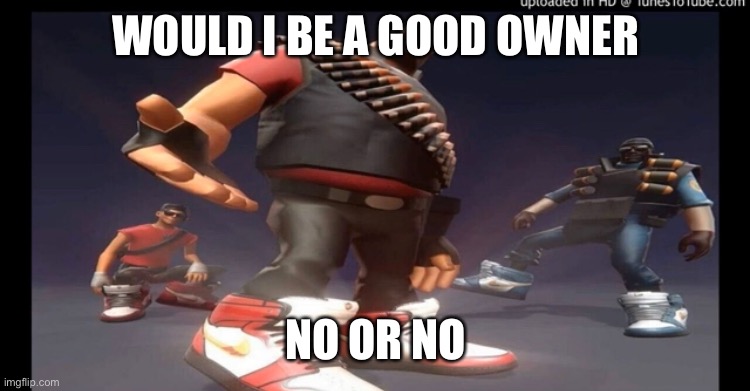 Drip fortress 2 | WOULD I BE A GOOD OWNER; NO OR NO | image tagged in drip fortress 2 | made w/ Imgflip meme maker