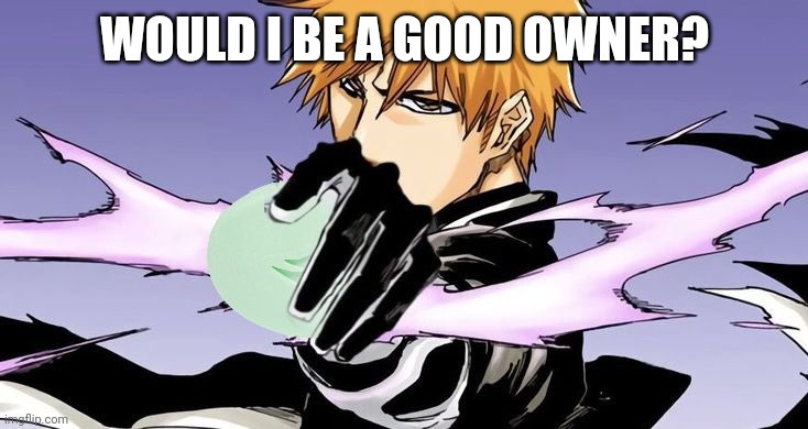 Apparently I'm not getting it back for "being arrogant", which is totally a g O oD reason not to make someone owner | WOULD I BE A GOOD OWNER? | image tagged in have some soap | made w/ Imgflip meme maker