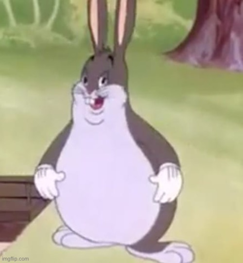 Big Chungus | image tagged in big chungus | made w/ Imgflip meme maker