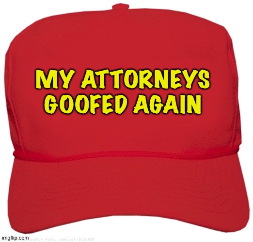 blank red MAGA hat | MY ATTORNEYS GOOFED AGAIN | image tagged in blank red maga hat | made w/ Imgflip meme maker