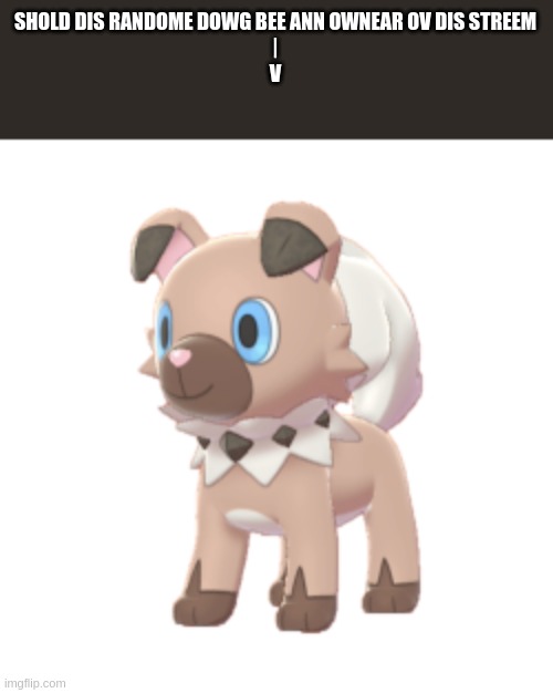 Translation: should this random dog be an owner of this steam? | SHOLD DIS RANDOME DOWG BEE ANN OWNEAR OV DIS STREEM
|
V | made w/ Imgflip meme maker