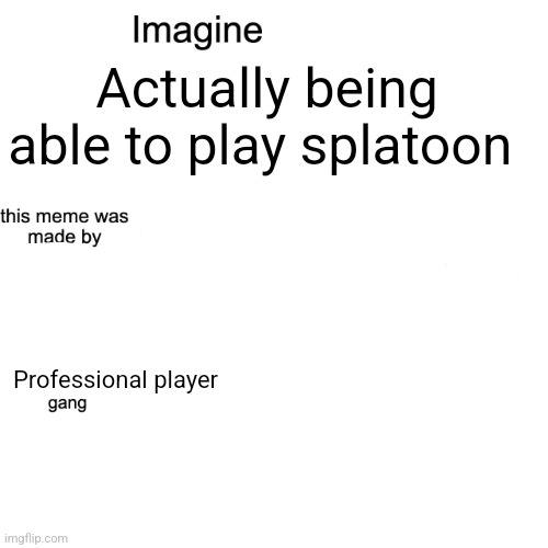 You don't know how many Professionals I have had to fight. It makes me want to splat myself | Actually being able to play splatoon; Professional player | image tagged in imagine | made w/ Imgflip meme maker