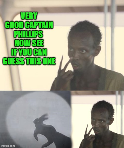 Nice try! | VERY GOOD CAPTAIN PHILLIPS 
NOW SEE IF YOU CAN GUESS THIS ONE | image tagged in memes,i'm the captain now,shadow puppet | made w/ Imgflip meme maker